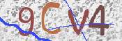 Image Anti-spam