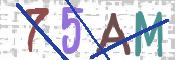 Image Anti-spam