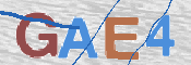 Image Anti-spam