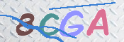 Image Anti-spam