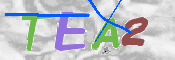 Image Anti-spam