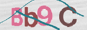 Image Anti-spam