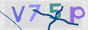 Image Anti-spam