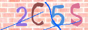 Image Anti-spam