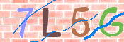 Image Anti-spam