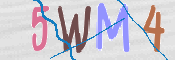 Image Anti-spam