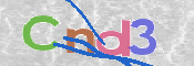 Image Anti-spam