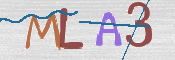 Image Anti-spam