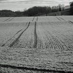 Paysage infrarouge, Sillingy, Haute-Savoie