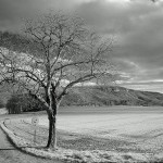Paysage infrarouge, Sillingy, Haute-Savoie